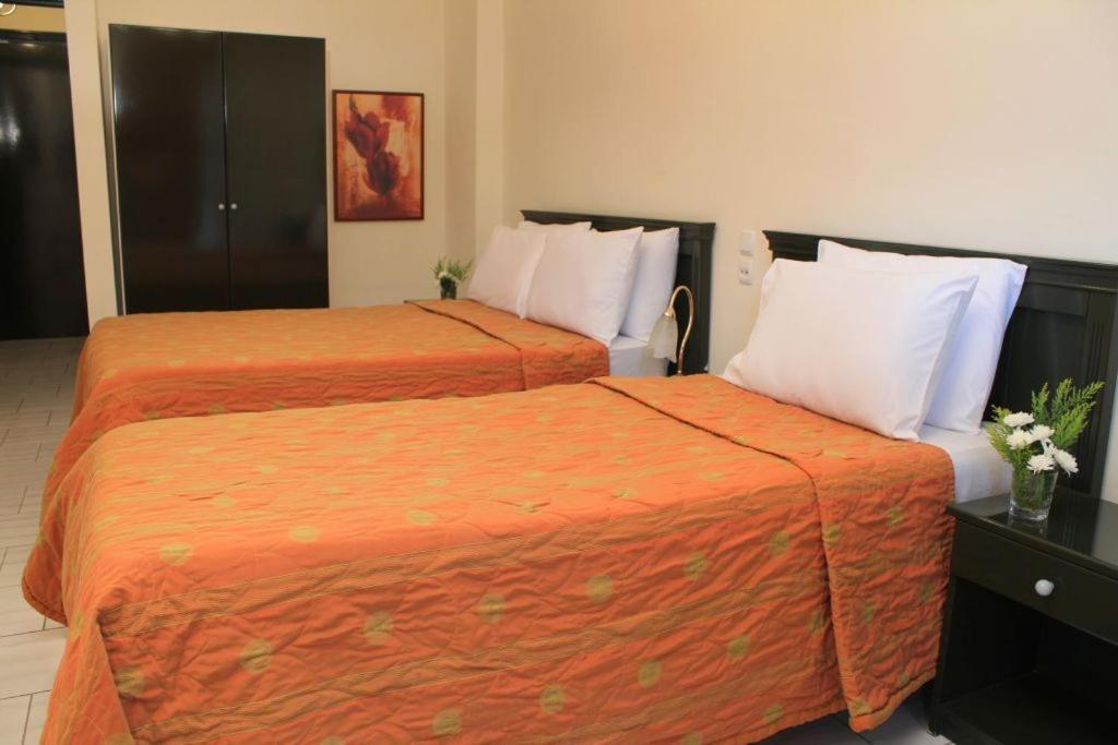 Famissi Eden Hotel Kalambaka Room photo